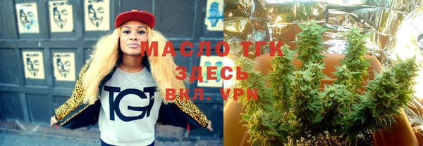тгк Кукмор