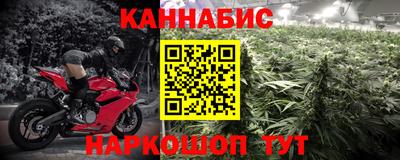 амф Гай