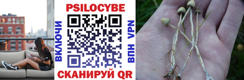как найти наркотики  Ангарск  блэк спрут зеркало  Псилоцибиновые грибы прущие грибы 