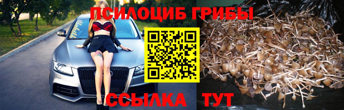 Псилоцибиновые грибы ЛСД Ангарск