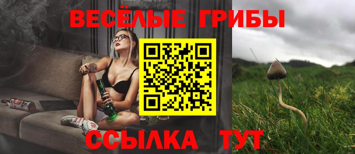 Галлюциногенные грибы Ангарск