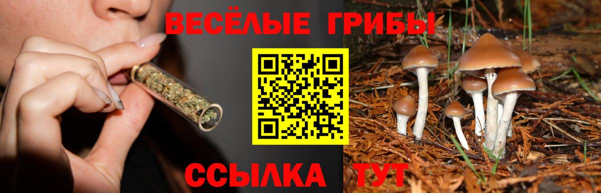 Псилоцибиновые грибы прущие грибы Ангарск