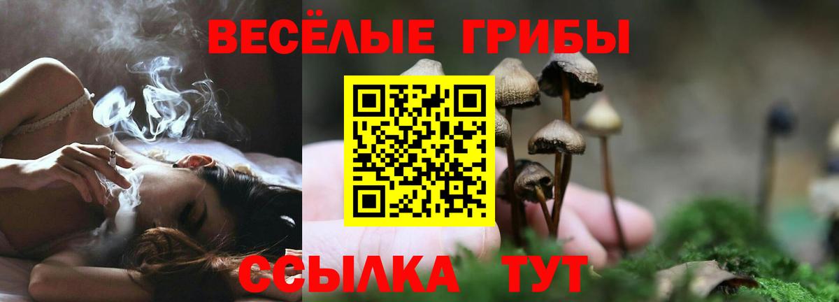 Псилоцибиновые грибы MAGIC MUSHROOMS  Вход с VPN  Ангарск 